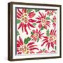 Flowers, Chistmas Star Flower Color-Belen Mena-Framed Giclee Print