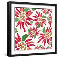 Flowers, Chistmas Star Flower Color-Belen Mena-Framed Giclee Print