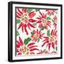 Flowers, Chistmas Star Flower Color-Belen Mena-Framed Giclee Print