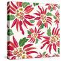 Flowers, Chistmas Star Flower Color-Belen Mena-Stretched Canvas