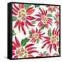 Flowers, Chistmas Star Flower Color-Belen Mena-Framed Stretched Canvas