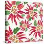 Flowers, Chistmas Star Flower Color-Belen Mena-Stretched Canvas