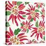 Flowers, Chistmas Star Flower Color-Belen Mena-Stretched Canvas