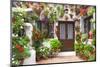 Flowers Decoration of Vintage Courtyard, Typical House in Cordoba - Spain, European Travel-Taiga-Mounted Photographic Print