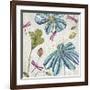 Flowers & Dragonflies-Tandi Venter-Framed Giclee Print