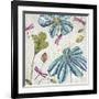 Flowers & Dragonflies-Tandi Venter-Framed Giclee Print