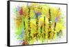 Flowers Explosion SEP1-Ata Alishahi-Framed Stretched Canvas