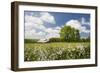 Flowers & Farm, Holmes County, Ohio ‘10-Monte Nagler-Framed Photographic Print