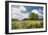 Flowers & Farm, Holmes County, Ohio ‘10-Monte Nagler-Framed Photographic Print