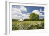 Flowers & Farm, Holmes County, Ohio ‘10-Monte Nagler-Framed Photographic Print