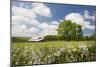 Flowers & Farm, Holmes County, Ohio ‘10-Monte Nagler-Mounted Photographic Print
