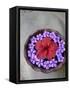 Flowers Floating in Bowl of Water-Douglas Peebles-Framed Stretched Canvas