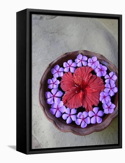 Flowers Floating in Bowl of Water-Douglas Peebles-Framed Stretched Canvas