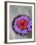 Flowers Floating in Bowl of Water-Douglas Peebles-Framed Photographic Print