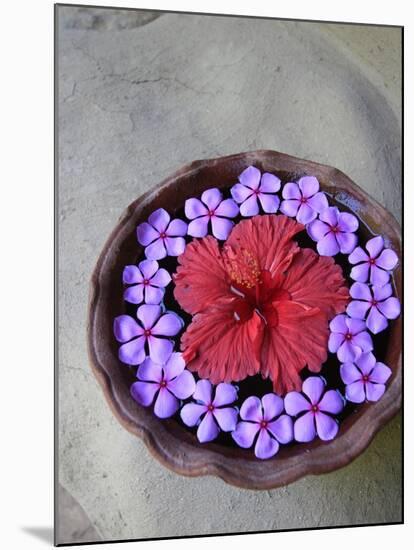 Flowers Floating in Bowl of Water-Douglas Peebles-Mounted Photographic Print