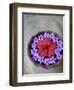 Flowers Floating in Bowl of Water-Douglas Peebles-Framed Photographic Print