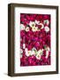 Flowers for offering at a Hindu temple, New Delhi, India, Asia-Matthew Williams-Ellis-Framed Photographic Print