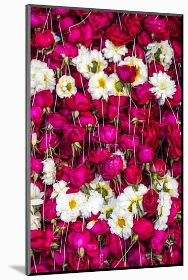 Flowers for offering at a Hindu temple, New Delhi, India, Asia-Matthew Williams-Ellis-Mounted Photographic Print