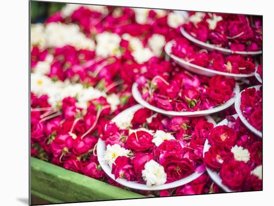 Flowers for offering at a Hindu temple, New Delhi, India, Asia-Matthew Williams-Ellis-Mounted Photographic Print