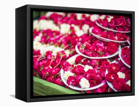 Flowers for offering at a Hindu temple, New Delhi, India, Asia-Matthew Williams-Ellis-Framed Stretched Canvas