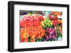 Flowers for sale at Pike Place Market in late spring, Seattle, Washington State, USA-Stuart Westmorland-Framed Photographic Print