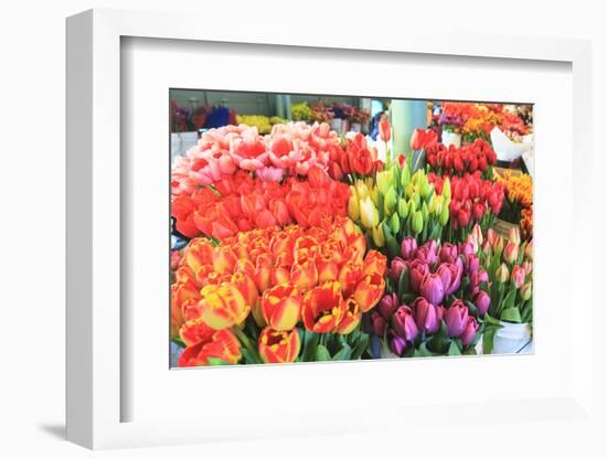 Flowers for sale at Pike Place Market in late spring, Seattle, Washington State, USA-Stuart Westmorland-Framed Photographic Print