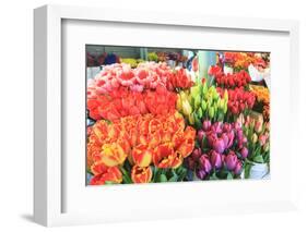 Flowers for sale at Pike Place Market in late spring, Seattle, Washington State, USA-Stuart Westmorland-Framed Photographic Print