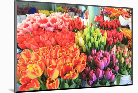 Flowers for sale at Pike Place Market in late spring, Seattle, Washington State, USA-Stuart Westmorland-Mounted Photographic Print