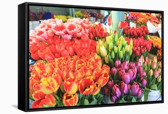 Flowers for sale at Pike Place Market in late spring, Seattle, Washington State, USA-Stuart Westmorland-Framed Stretched Canvas