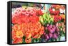 Flowers for sale at Pike Place Market in late spring, Seattle, Washington State, USA-Stuart Westmorland-Framed Stretched Canvas