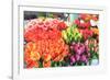 Flowers for sale at Pike Place Market in late spring, Seattle, Washington State, USA-Stuart Westmorland-Framed Photographic Print