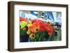 Flowers for sale at Pike Place Market in Late Spring, Seattle, Washington State-Stuart Westmorland-Framed Photographic Print