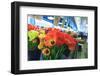 Flowers for sale at Pike Place Market in Late Spring, Seattle, Washington State-Stuart Westmorland-Framed Photographic Print