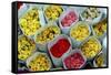 Flowers for Sale, Delhi, India, Asia-Balan Madhavan-Framed Stretched Canvas