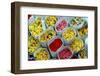 Flowers for Sale, Delhi, India, Asia-Balan Madhavan-Framed Photographic Print