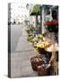 Flowers For Sale, Munich, Germany-Adam Jones-Stretched Canvas