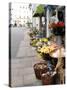 Flowers For Sale, Munich, Germany-Adam Jones-Stretched Canvas