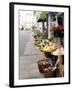 Flowers For Sale, Munich, Germany-Adam Jones-Framed Premium Photographic Print