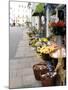 Flowers For Sale, Munich, Germany-Adam Jones-Mounted Photographic Print