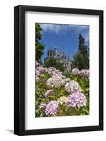 Flowers Frame Old Mystical Buildings of Romanesque Gothic and Renaissance Style-Roberto Moiola-Framed Photographic Print