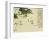 Flowers, from an Album of Ten Leaves-Ju Lian-Framed Giclee Print