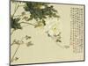 Flowers, from an Album of Ten Leaves-Ju Lian-Mounted Giclee Print