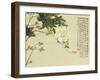 Flowers, from an Album of Ten Leaves-Ju Lian-Framed Giclee Print