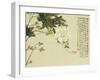 Flowers, from an Album of Ten Leaves-Ju Lian-Framed Giclee Print