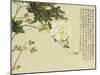Flowers, from an Album of Ten Leaves-Ju Lian-Mounted Giclee Print