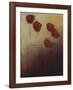 Flowers from Me-Jutta Kaiser-Framed Giclee Print