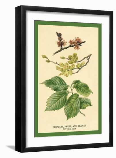 Flowers, Fruits and Leaves of the Elm-W.h.j. Boot-Framed Art Print