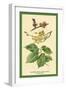 Flowers, Fruits and Leaves of the Elm-W.h.j. Boot-Framed Art Print