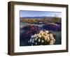 Flowers Growing on Desert, Anza Borrego Desert State Park, California, USA-Adam Jones-Framed Photographic Print