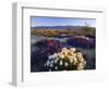 Flowers Growing on Desert, Anza Borrego Desert State Park, California, USA-Adam Jones-Framed Photographic Print